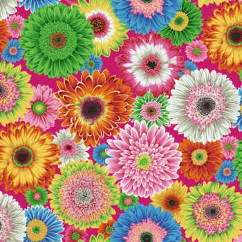 Gerbera Daisies